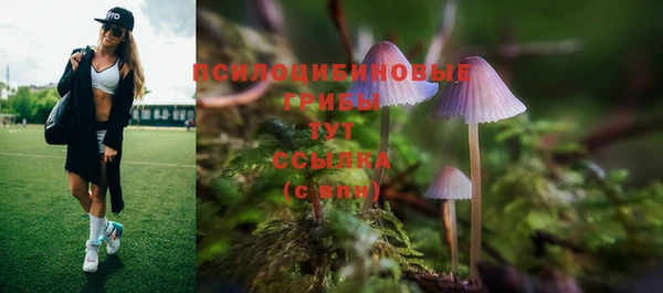 кокс Верея