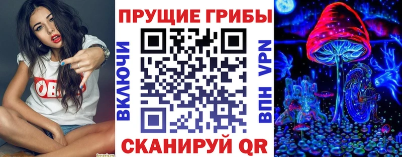 Галлюциногенные грибы Psilocybe  что такое наркотик  Приволжский 